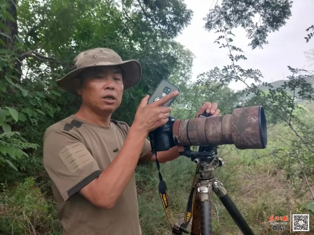 沽源县红圪塄村_榆木圪垯_圪