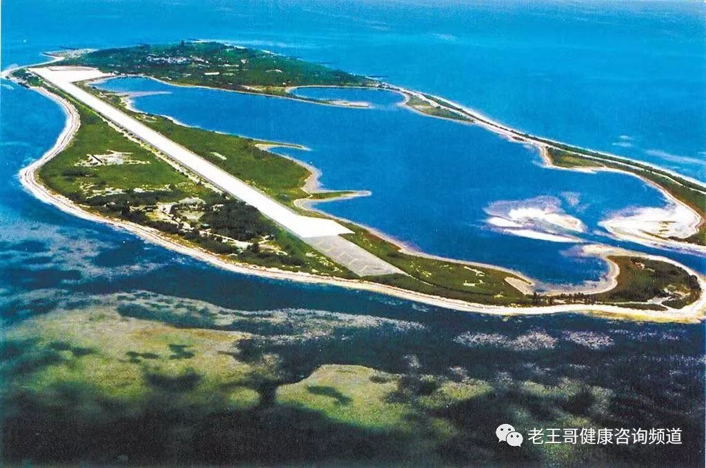 2022年澳门十二生肖表_2020澳门生肖号码表_2021澳门生肖排码表