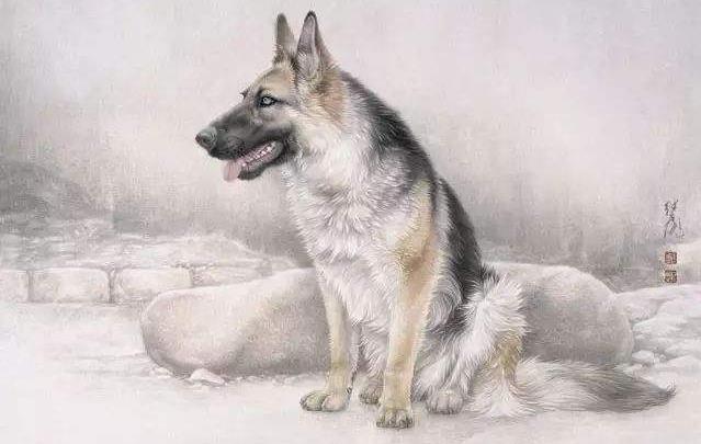 俳_俳徊意思_俳怎么读