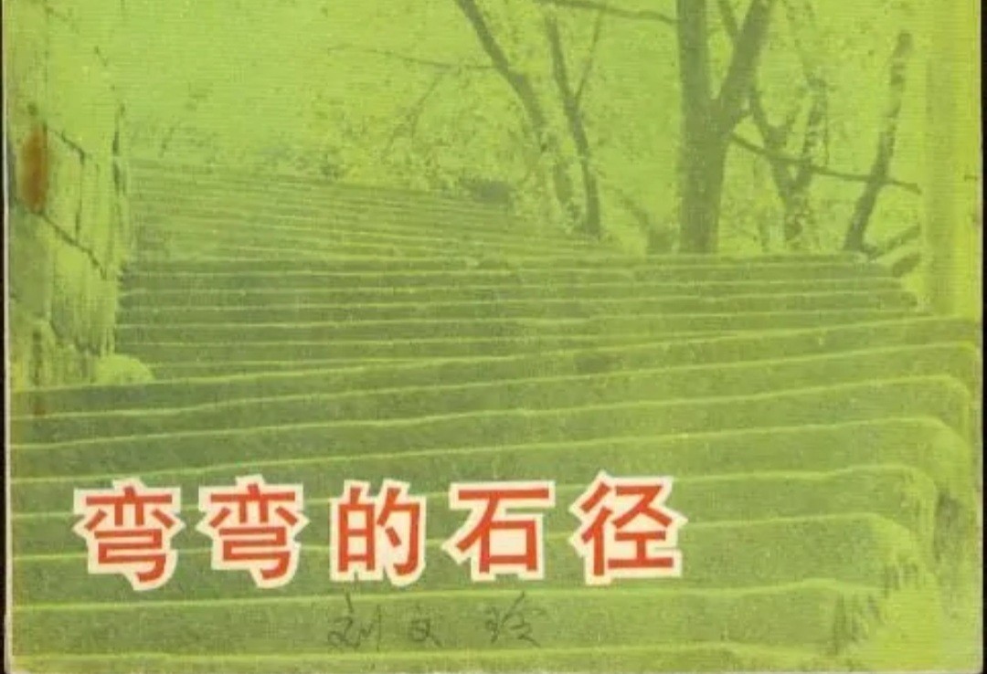 李小璐二胎生了没有_李小璐二胎_李小璐承认二胎双胞胎2019