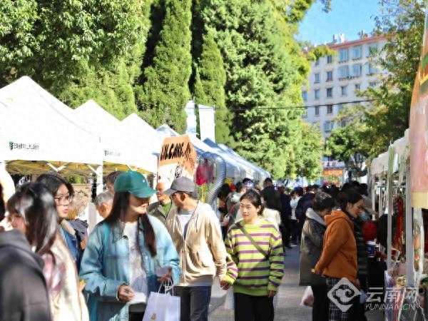 云南大学生就业创业网_云南大学就业创业网_云南大学生创业服务网