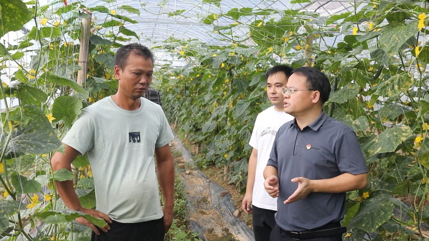 码市官网_码市镇_码市