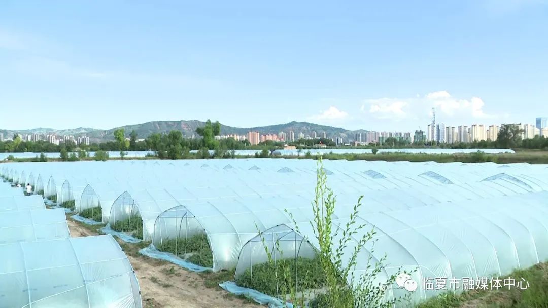 蜗牛精灵seo优化软_cdma系统软切换参数的优化_软优化