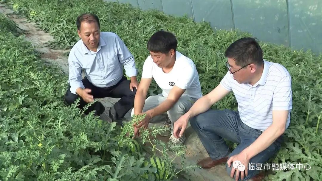 蜗牛精灵seo优化软_cdma系统软切换参数的优化_软优化