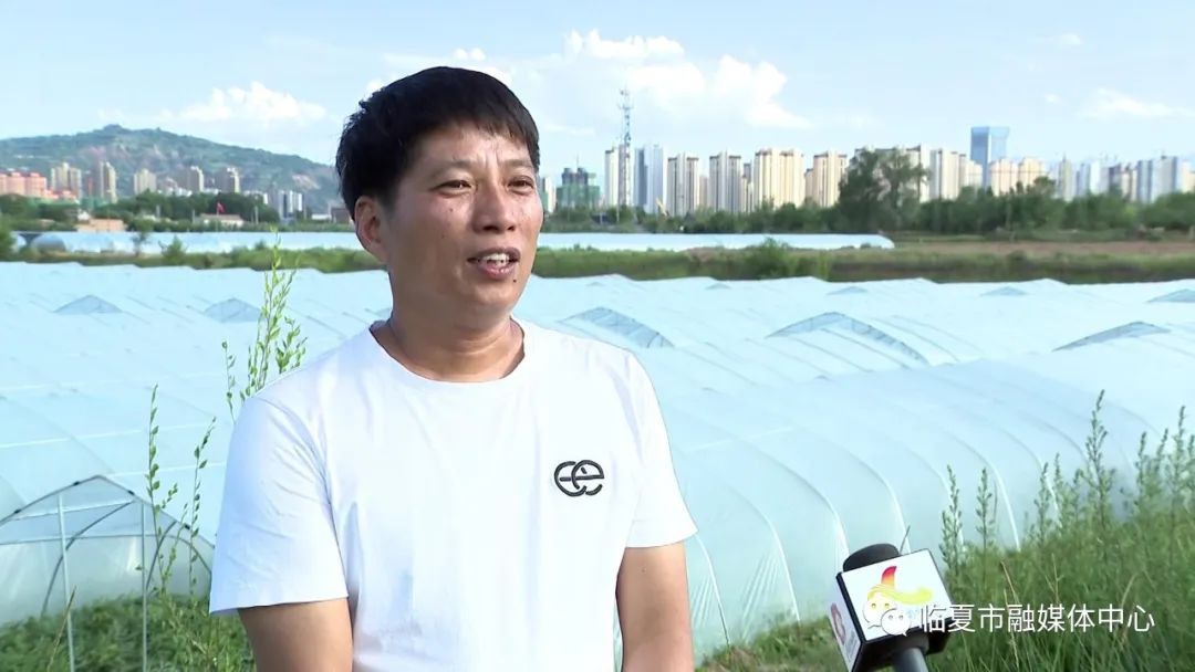 蜗牛精灵seo优化软_软优化_cdma系统软切换参数的优化