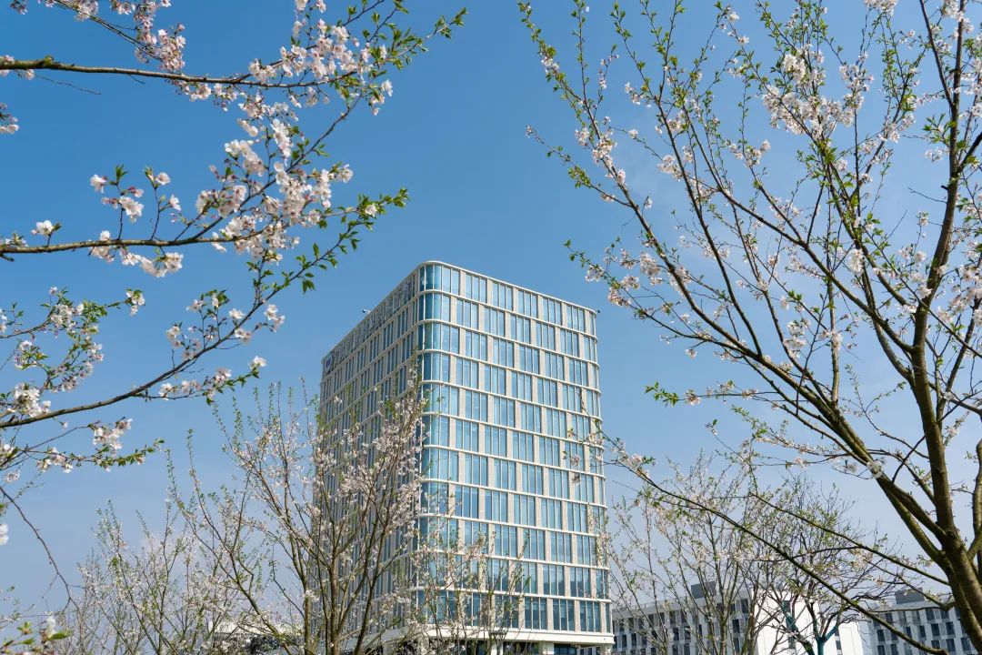 宁波城市职业技术学院学费_宁波城市职业技术学院收费标准_宁波城市学院职业技术学院学费