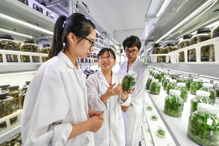 宁波城市职业技术学院收费标准_宁波城市职业技术学院学费_宁波城市学院职业技术学院学费