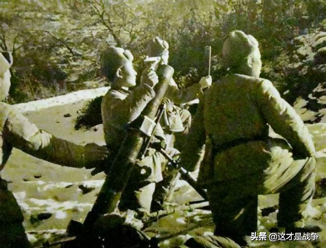 大沢美加重口番号_番号动态图孵蛋网西瓜网_大番号网