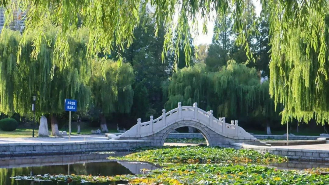 鲁东大学研究生部_鲁东大学研究生院_鲁东大学研究生拟录取名单