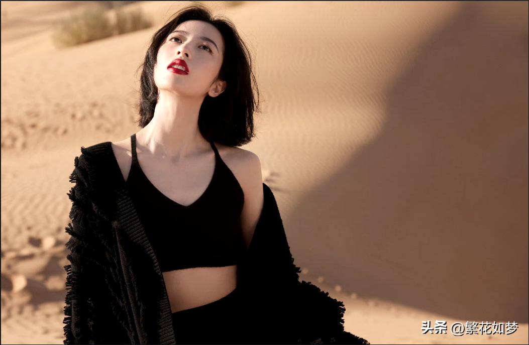 上海视觉艺术学院官网2020_上海视觉学院艺术类录取分数_上海视觉艺术学院