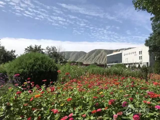 延边大学是985吗_延边大学是985211学校吗_延边大学是985还是211