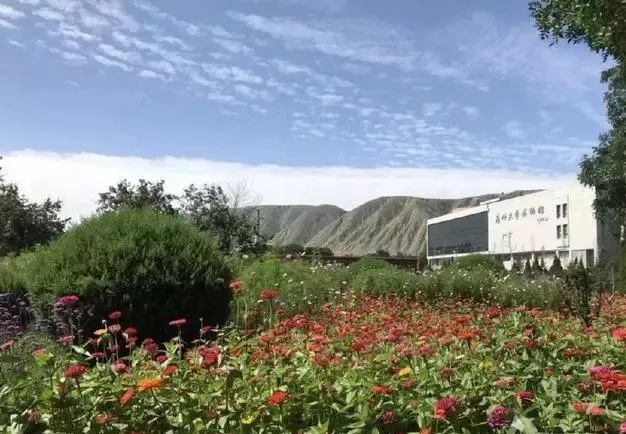 延边大学是985吗_延边大学是985211学校吗_延边大学是985还是211