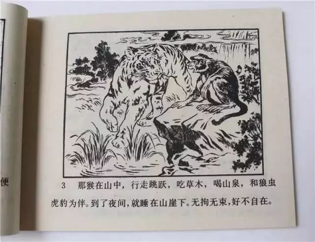 延边大学是985吗_延边大学是985211学校吗_延边大学是985还是211