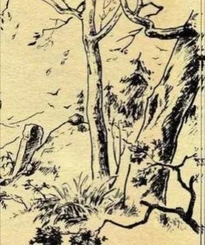 农人_农人豆豆_农人莎莎