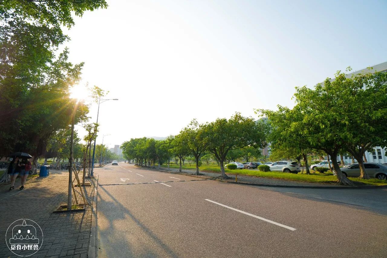 珠人_珠人是什么意思_天地劫人劫珠怎么合