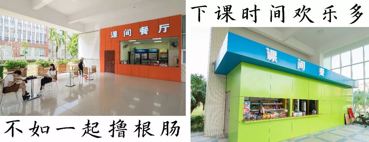 珠人_珠人是什么意思_天地劫人劫珠怎么合