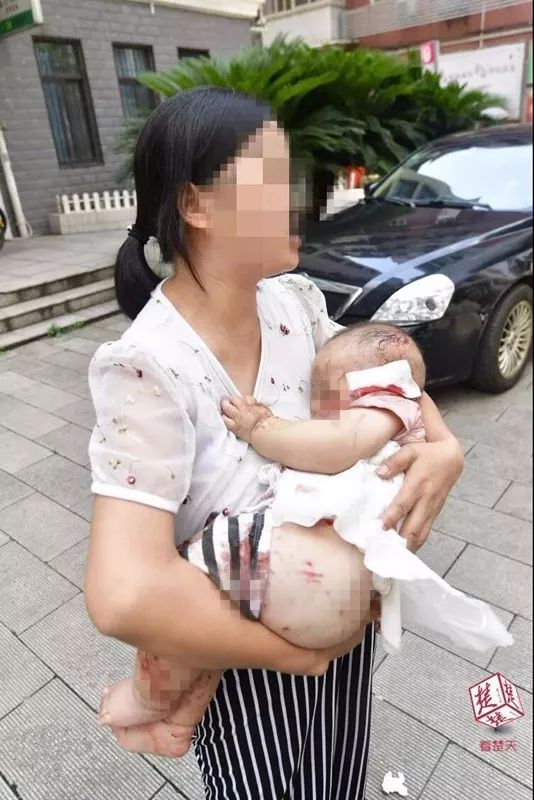 凤巢计划与闪投计划_凤巢_凤巢国际
