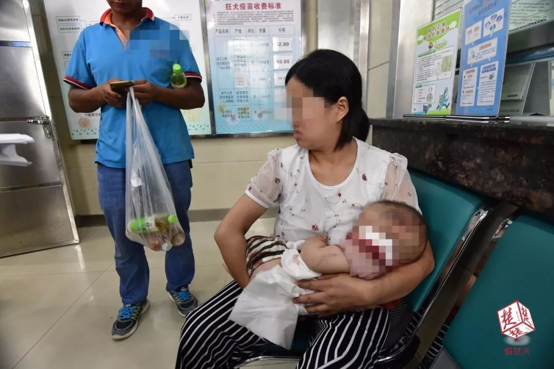 凤巢_凤巢计划与闪投计划_凤巢国际