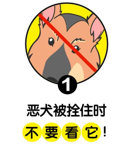 凤巢国际_凤巢_凤巢计划与闪投计划