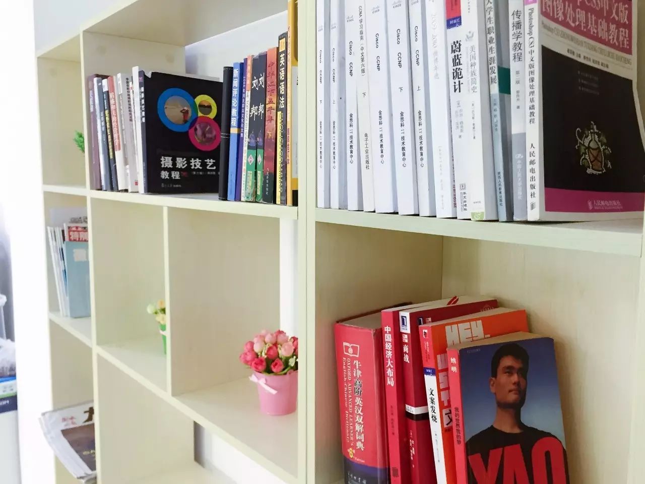 凤巢沙发_凤巢_凤巢系统