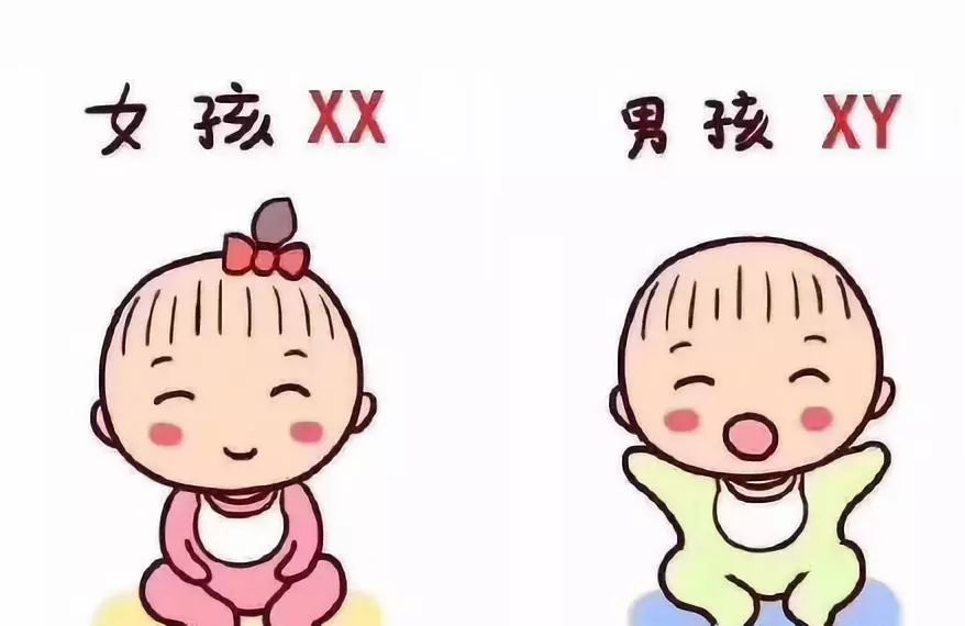 香港验血会被骗吗_香港验血后悔了_后悔香港验血是真的吗