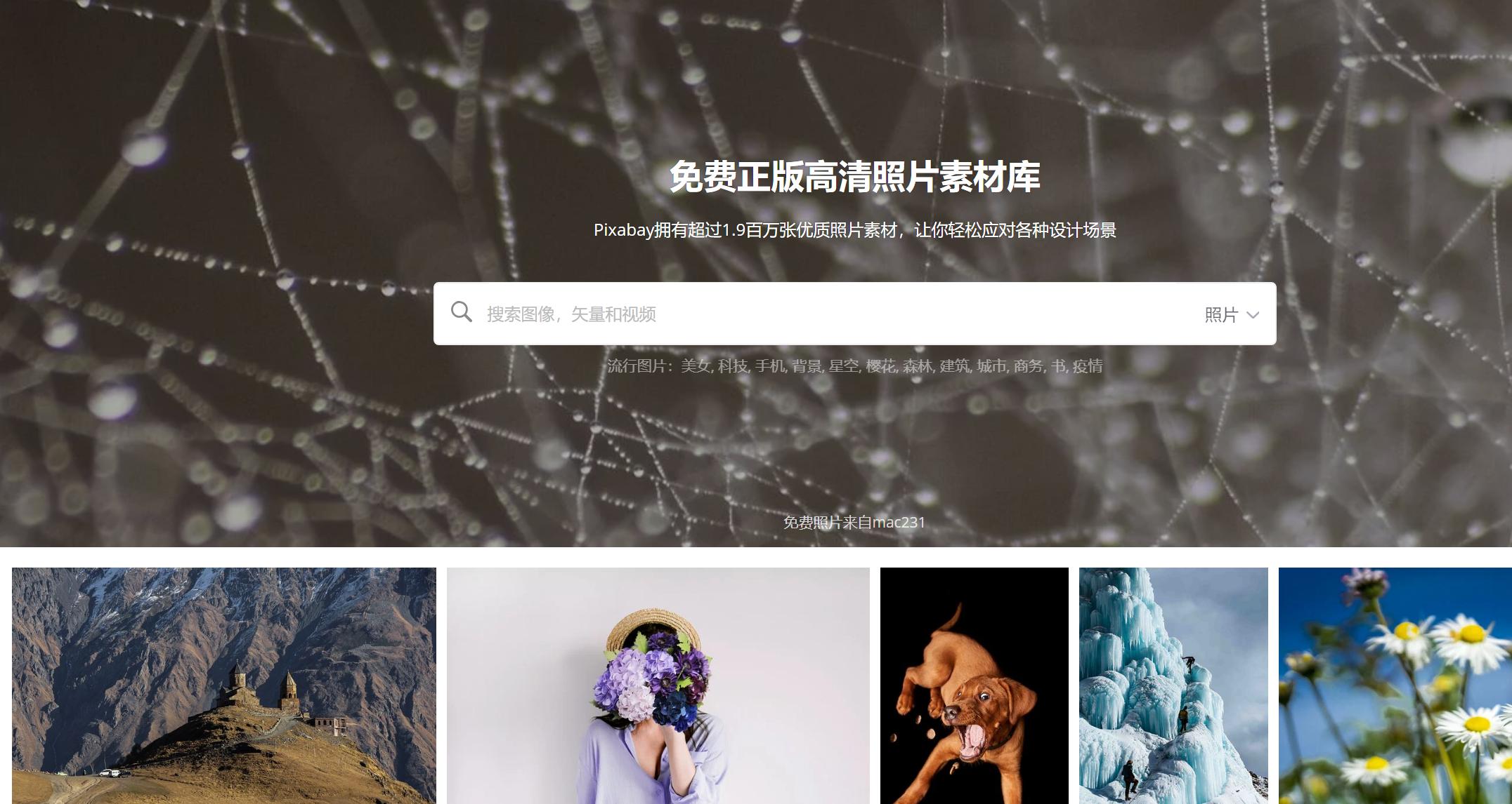 花火图表_花火数图_花火图表工具