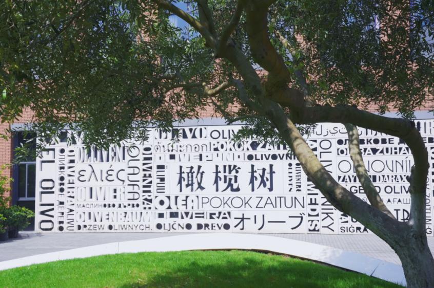 杭州英特外国语学校如何_英特外国语杭州外国语学校学费_杭州英特外国语学校学费一年多少