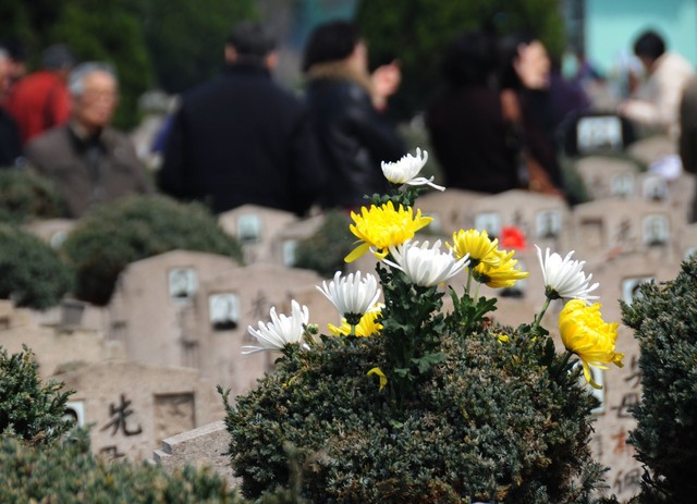 祀读音是什么意思啊怎么读啊_祀怎么读_祀读什么字