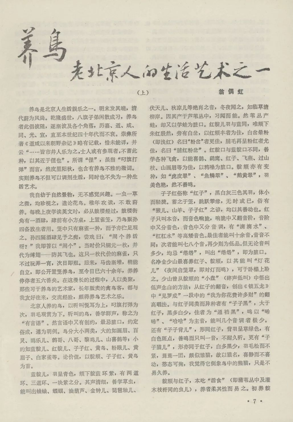 皮里阳秋的动物_皮秋是什么动物_皮里阳秋打一动物