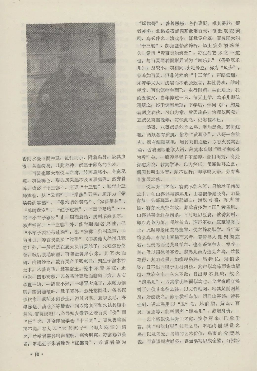 皮秋是什么动物_皮里阳秋打一动物_皮里阳秋的动物