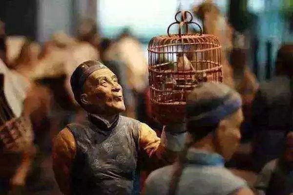 皮里阳秋打一动物_皮秋是什么动物_皮里阳秋的动物
