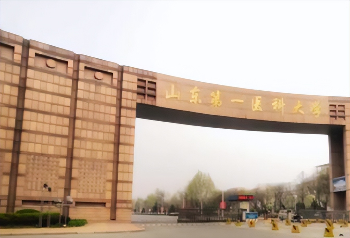 泰山学院是一本还是二本_泰山学院在二本里算好的吗_泰山的本科大学