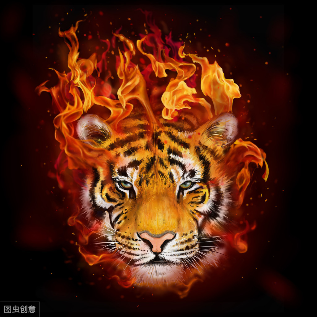 十二生肖野兽都是什么生肖_生肖野兽是哪几个生肖_生肖野兽是哪六只