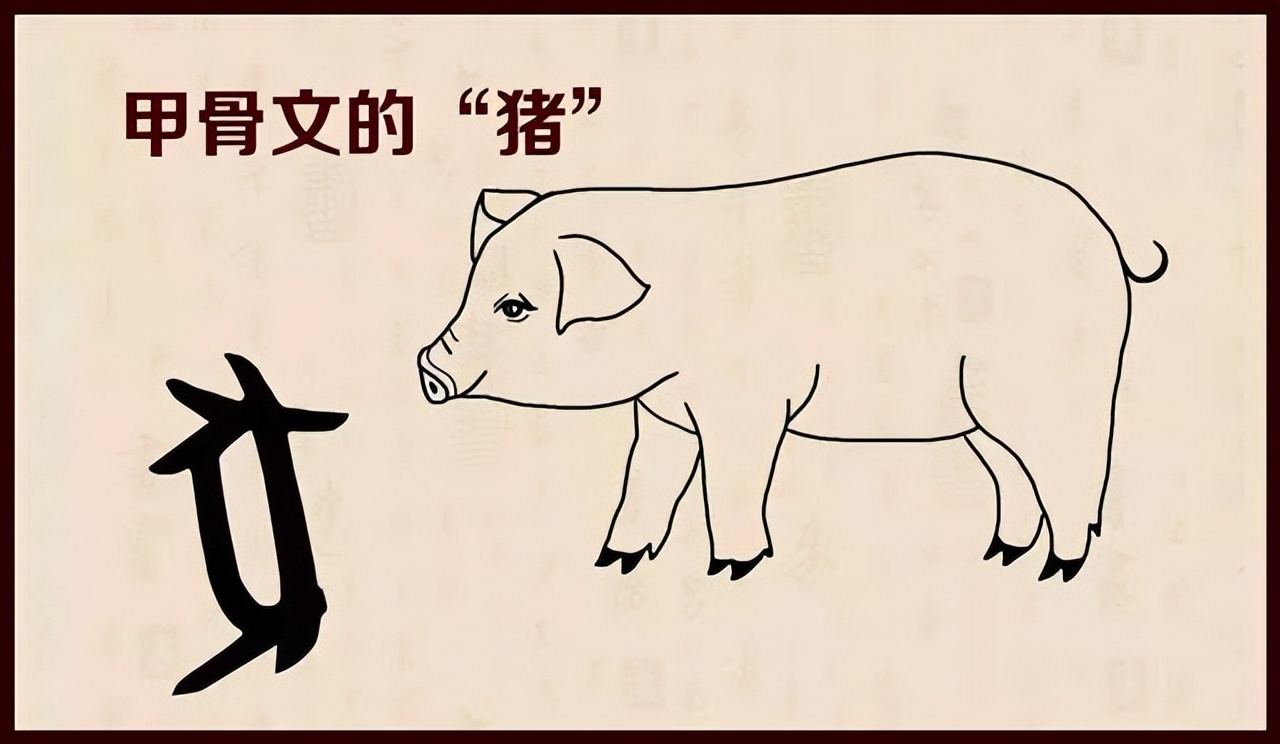 十二生肖野兽都是什么生肖_生肖野兽是什么生肖_生肖野兽是哪几肖