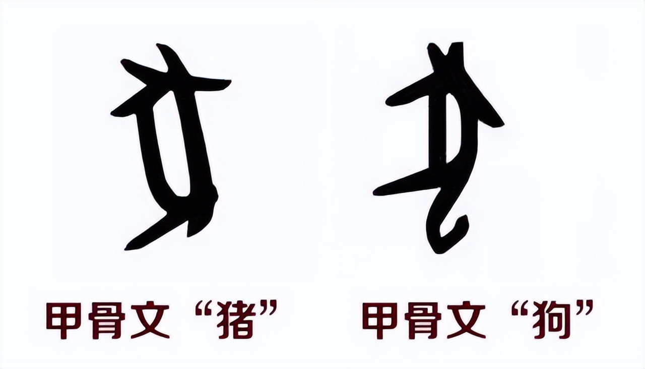 十二生肖野兽都是什么生肖_生肖野兽是什么生肖_生肖野兽是哪几肖