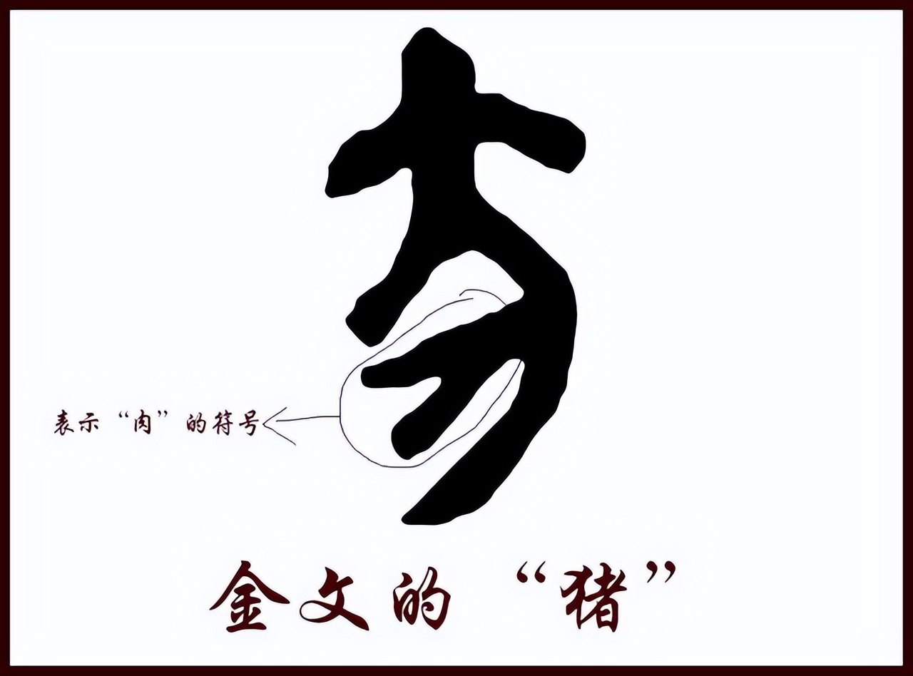 十二生肖野兽都是什么生肖_生肖野兽是哪几肖_生肖野兽是什么生肖