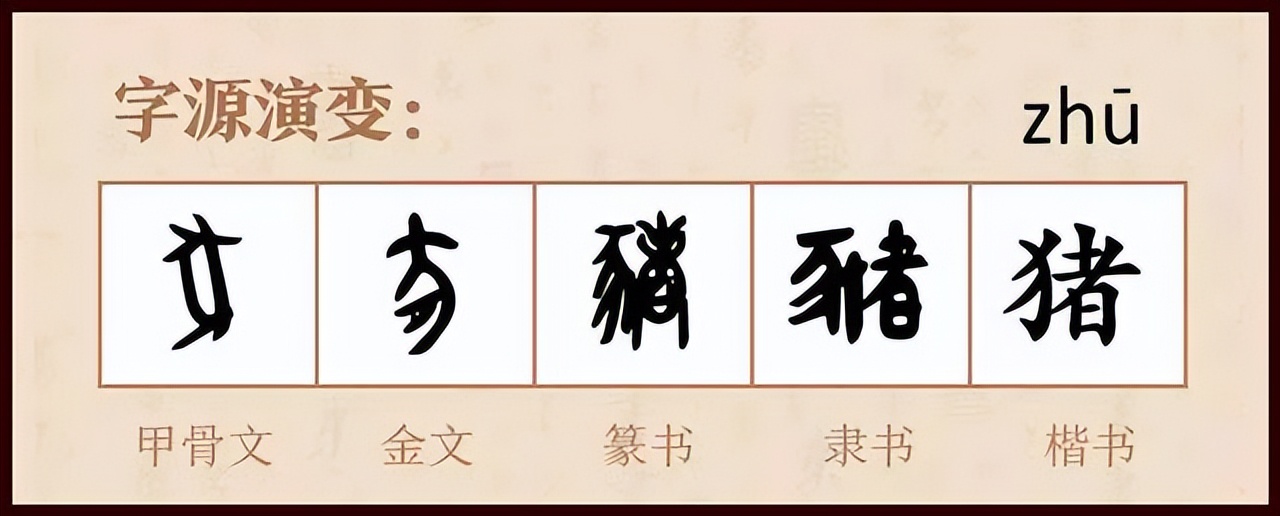 十二生肖野兽都是什么生肖_生肖野兽是什么生肖_生肖野兽是哪几肖