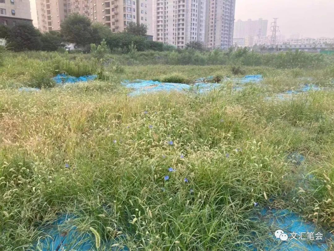 薿_￡橀鰀薿什么意思_薿的读音和意思