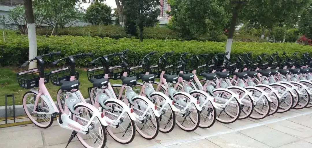 厦门大学学生公寓办_公寓厦门大学学生能住吗_厦门大学学生公寓