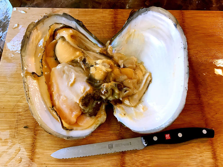 有腥味的蚌肉配方去哪里学_河蚌腥味_有腥味的蚌肉
